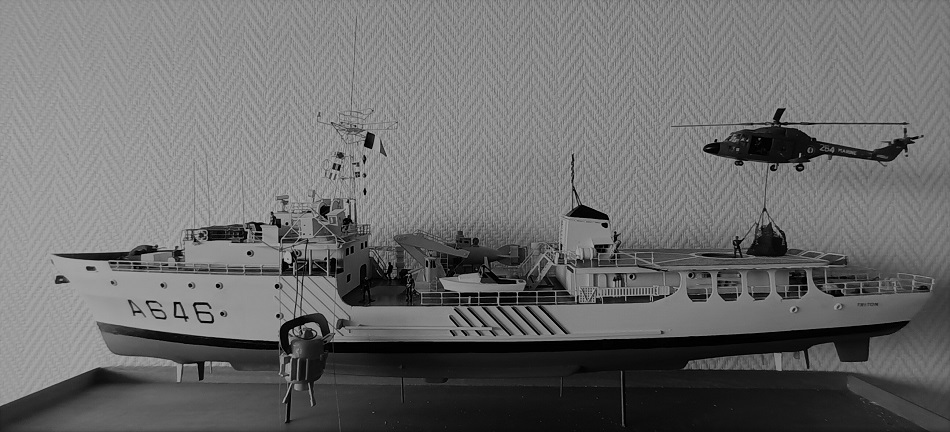 BISM Triton