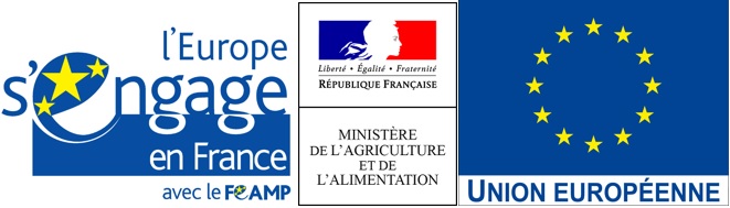 Logos UE