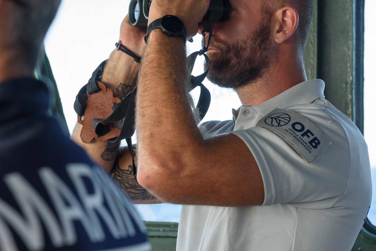 Le RPC Maïto en mission de contrôle des « Whales Watchers »