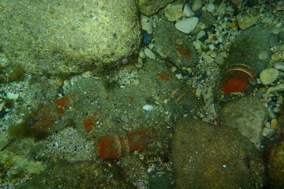  Bilan 2022 des opérations de destruction de munitions historiques en Méditerranée