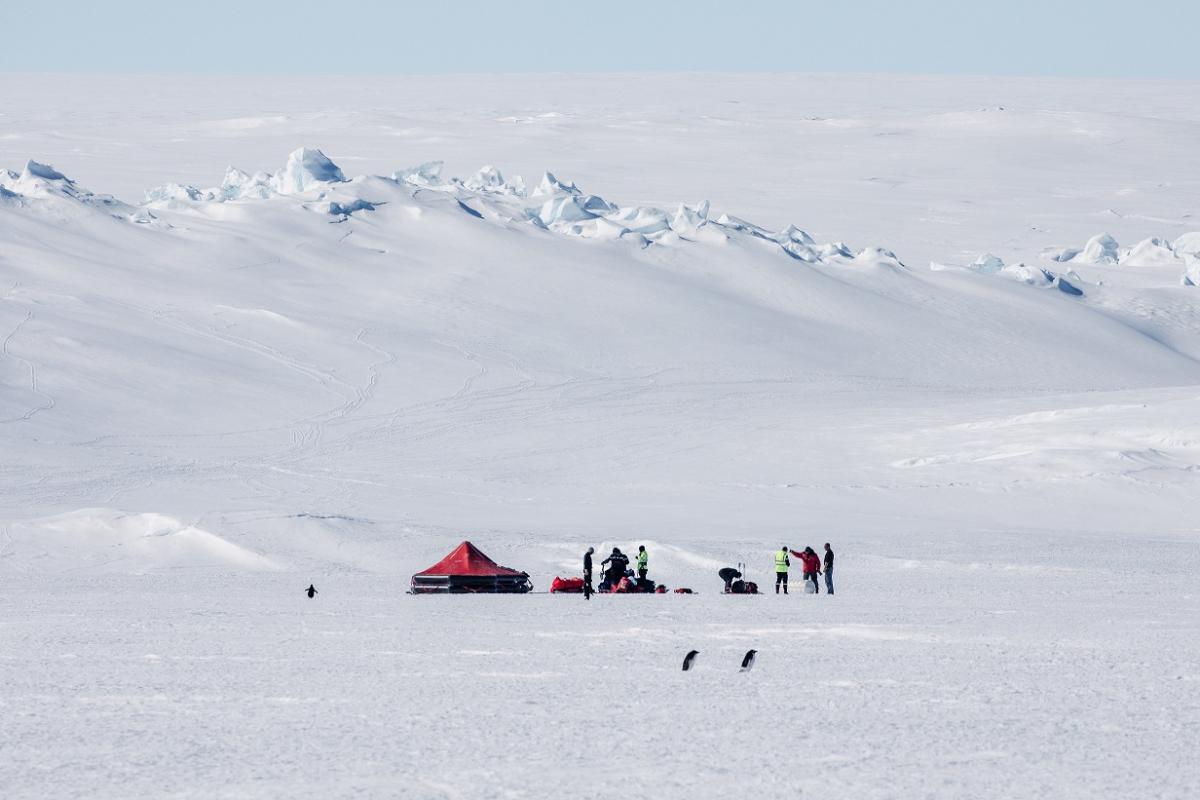 FAZSOI – Le patrouilleur polaire L’Astrolabe conduit un exercice de survie en Antarctique