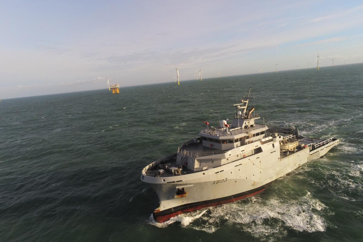Le BSAM Rhône participe au dispositif de surveillance de l’ouverture du parc éolien de Saint-Nazaire