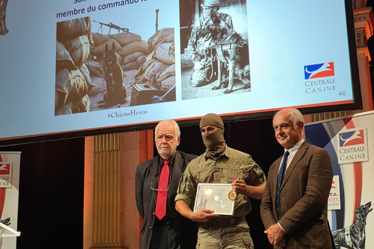 Trophées des Chiens Héros - Leuk, malinois du commando Kieffer, récompensé à titre posthume