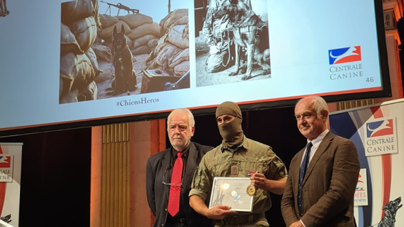 Trophées des Chiens Héros - Leuk, malinois du commando Kieffer, récompensé à titre posthume