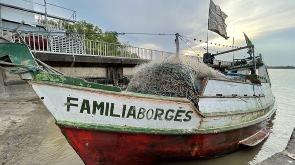Lutte contre la pêche illégale et protection de la biodiversité 