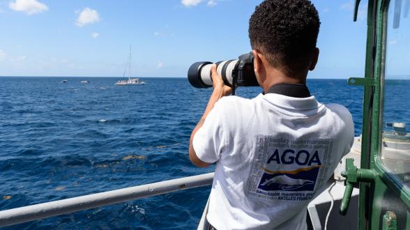 Le RPC Maïto en mission de contrôle des « Whales Watchers »