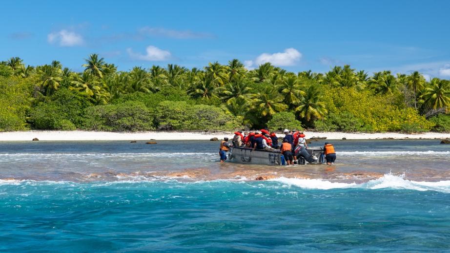 Un baleiner se rappoche de la plage pendant la mission Kivi Kuaka