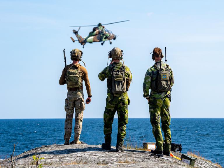 Soldats Français et Suédois 